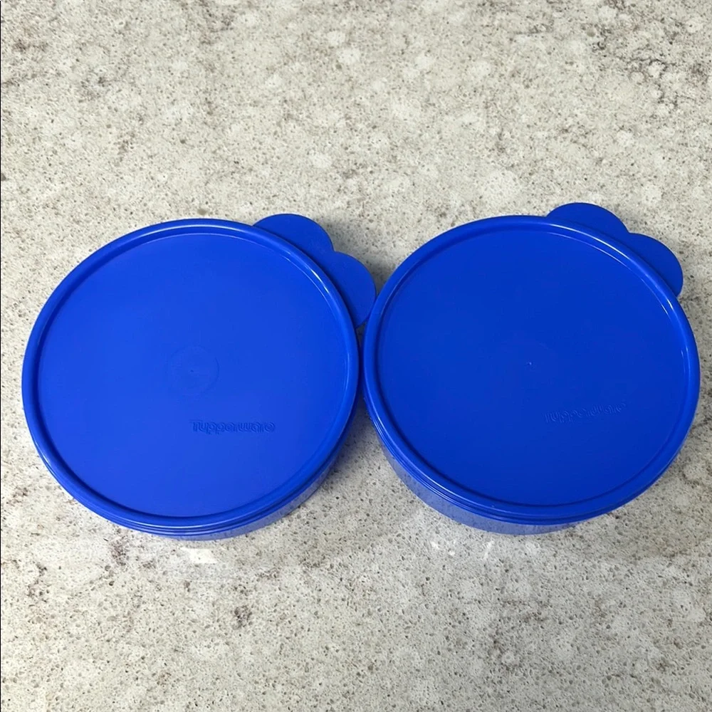 Tupperware Bright‎ Blue Round Containers